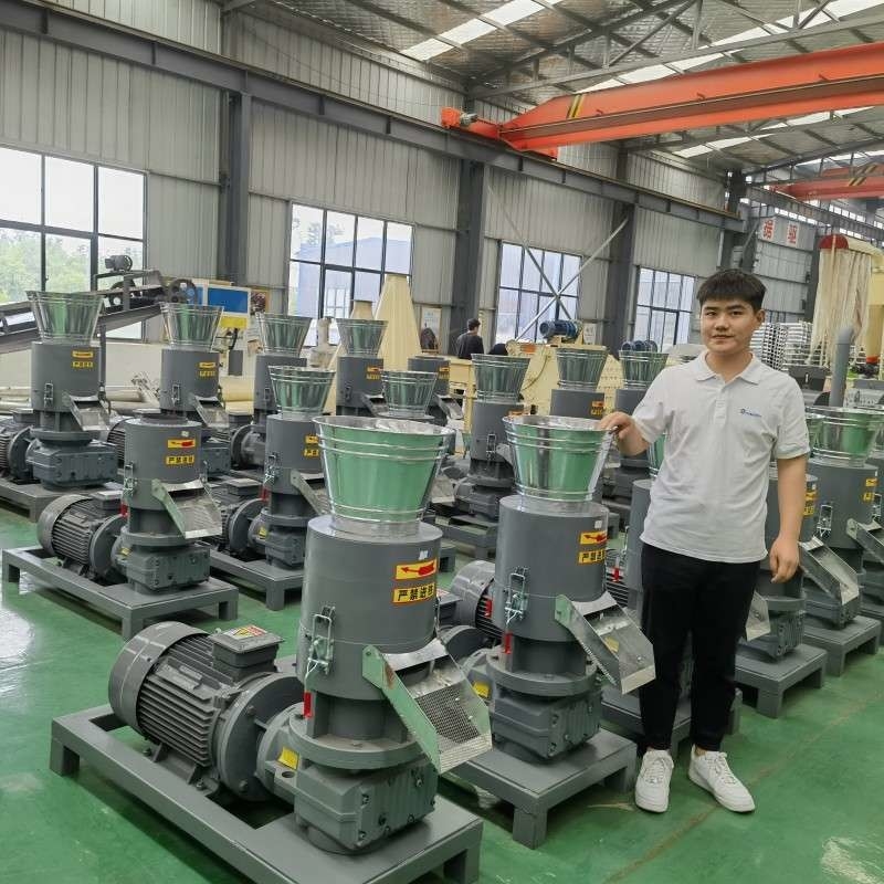 Flat Die 300-800kg / H โรงสีเม็ดไม้ชีวมวลเครื่องเม็ดขี้เลื่อยพร้อมใบรับรอง CE