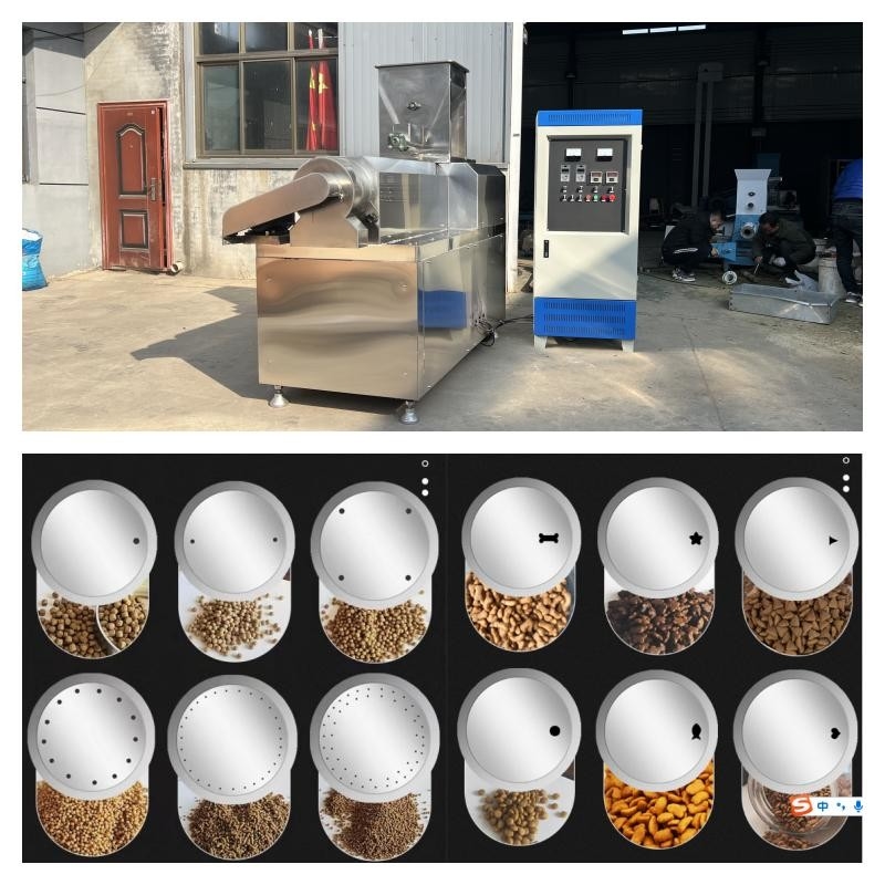 เครื่องอัดรีดอาหารปลาชนิดสแตนเลสชนิดแห้ง 55kw สายการผลิตอาหารสัตว์เลี้ยงแห้ง