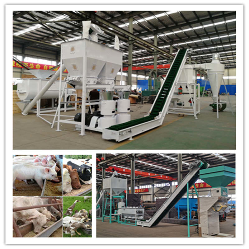 0.5-30 ตัน/ชั่วโมง สายการผลิตเมลเล็ตสําหรับอาหารสัตว์ที่มีโรงงานผลิตเมลเล็ตแหวน