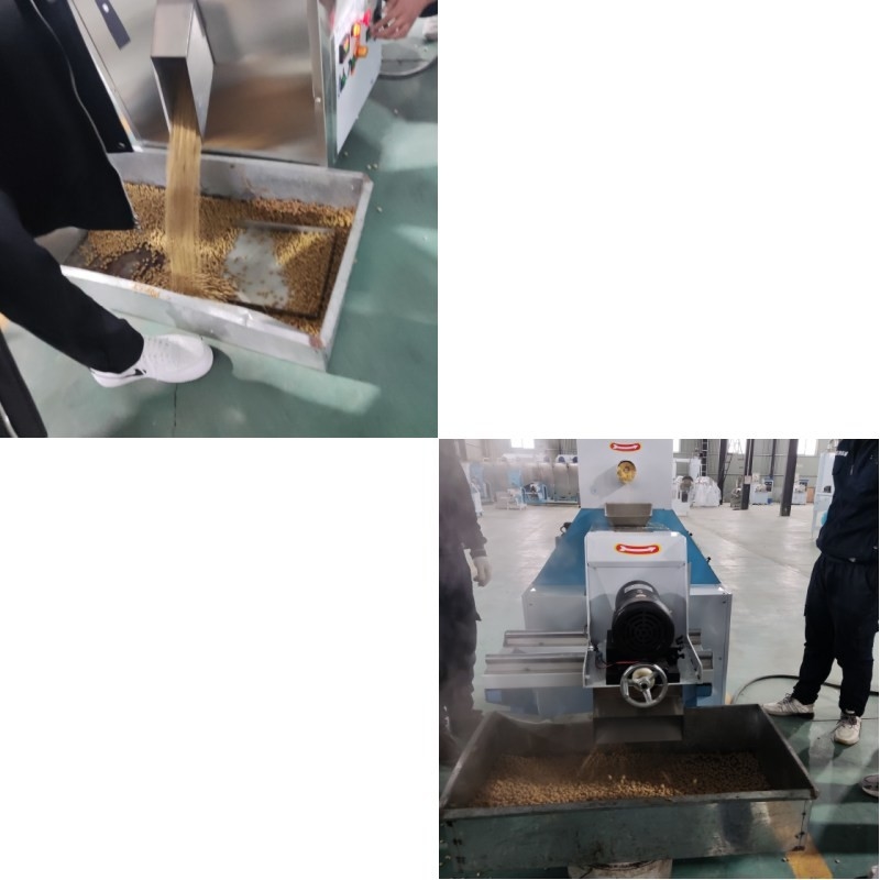 อัตโนมัติ แบบแห้ง ปลา Feed Extruder ไฟไฟฟ้าสําหรับการผลิตขนาดใหญ่