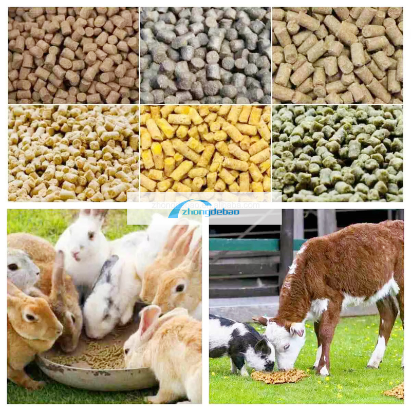 600-800 KG/H ผลิตปลาสัตว์อาหารโรงงานสัตว์สุนัขและแมวอาหารอุปกรณ์ pellets อาหาร extruder เครื่อง pelletizer