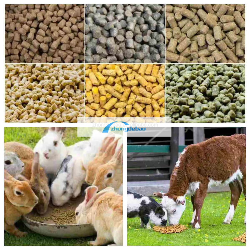 300-400 KG / H เครื่องทําเมลเล็ตอาหารสัตว์เลี้ยงที่มีผลผลิตสูง เครื่องทําเมลเล็ตชนิดไดเซล