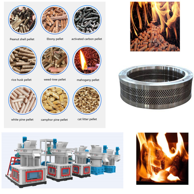 เครื่องอัดเม็ดไม้ขนาด 55-160kw เส้นผ่านศูนย์กลาง 4-12 มม. เครื่องอัดเม็ดฟีด