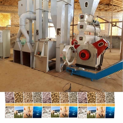 สายการผลิตอัดเม็ดอาหารสัตว์แบบ Flat Ring Die Pellet Mill พร้อมคู่มือวิศวกรสำหรับการติดตั้ง